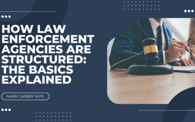 How Law Enforcement Agencies Are Structured: The Basics Explained
